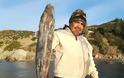 Πελώριος λαγοκέφαλος στα δίχτυα Κρητικού ψαρά - Φωτογραφία 2