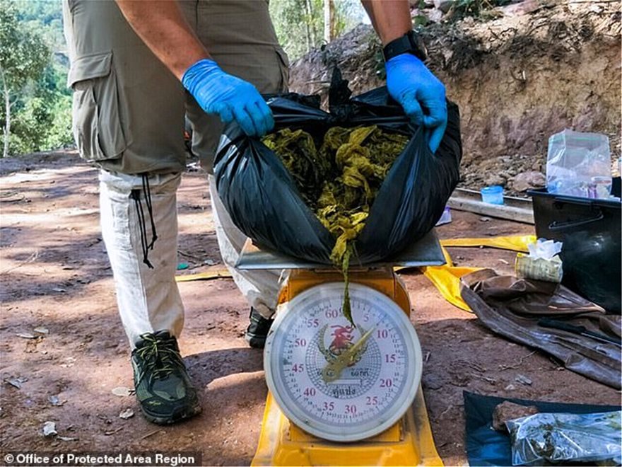 Ελάφι βρέθηκε νεκρό με 7 κιλά πλαστικά στο στομάχι του - Φωτογραφία 3