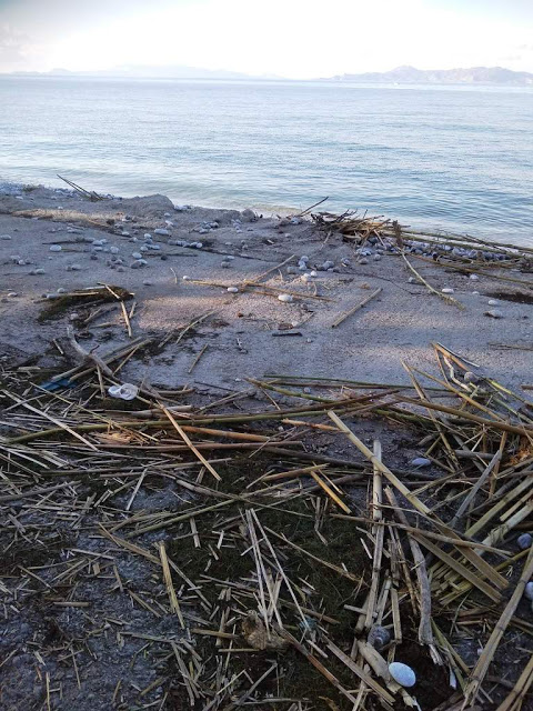 Εικόνες καταστροφής στην παραλία Κρεμαστής - Φωτογραφία 1