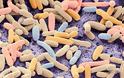 Επιστήμονες τροποποίησαν το βακτήριο E. coli ώστε να τρέφεται με...