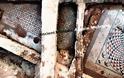 Δωμάτια αρχαίας έπαυλης, με ενδοδαπέδια θέρμανση, ψηφιδωτά, κ.ά. ανακαλύφθηκαν στα αρχαία πόλη Φάλαρα, την νυν Στυλίδα - Φωτογραφία 1