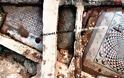 Δωμάτια αρχαίας έπαυλης, με ενδοδαπέδια θέρμανση, ψηφιδωτά, κ.ά. ανακαλύφθηκαν στα αρχαία πόλη Φάλαρα, την νυν Στυλίδα - Φωτογραφία 3