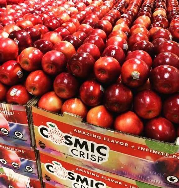 Νέα ποικιλία μήλου αντέχει έως και 1 χρόνο στο ψυγείο! - Φωτογραφία 1