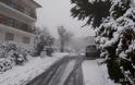 Στα λευκά η Βόρεια Ελλάδα -Tα πρώτα χιόνια στο ορεινά και ημιορεινά της Θεσσαλονίκης
