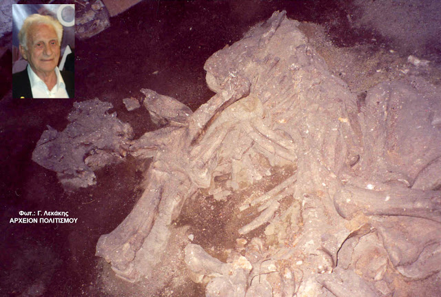 Ο Άρης Πουλιανός ρωτά το υπουργείο Πολιτισμού: Πού βρίσκεται ο 3.000.000 χρόνων σκελετός του «ελέφαντα του Περδίκκα Πτολεμαΐδας»; - Φωτογραφία 2