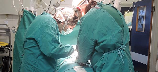 Νέες περιπτώσεις αποζημιώσεων από νοσοκομειακούς γιατρούς, έπειτα από τον χειρουργό με τις 850.000 ευρώ - Φωτογραφία 1