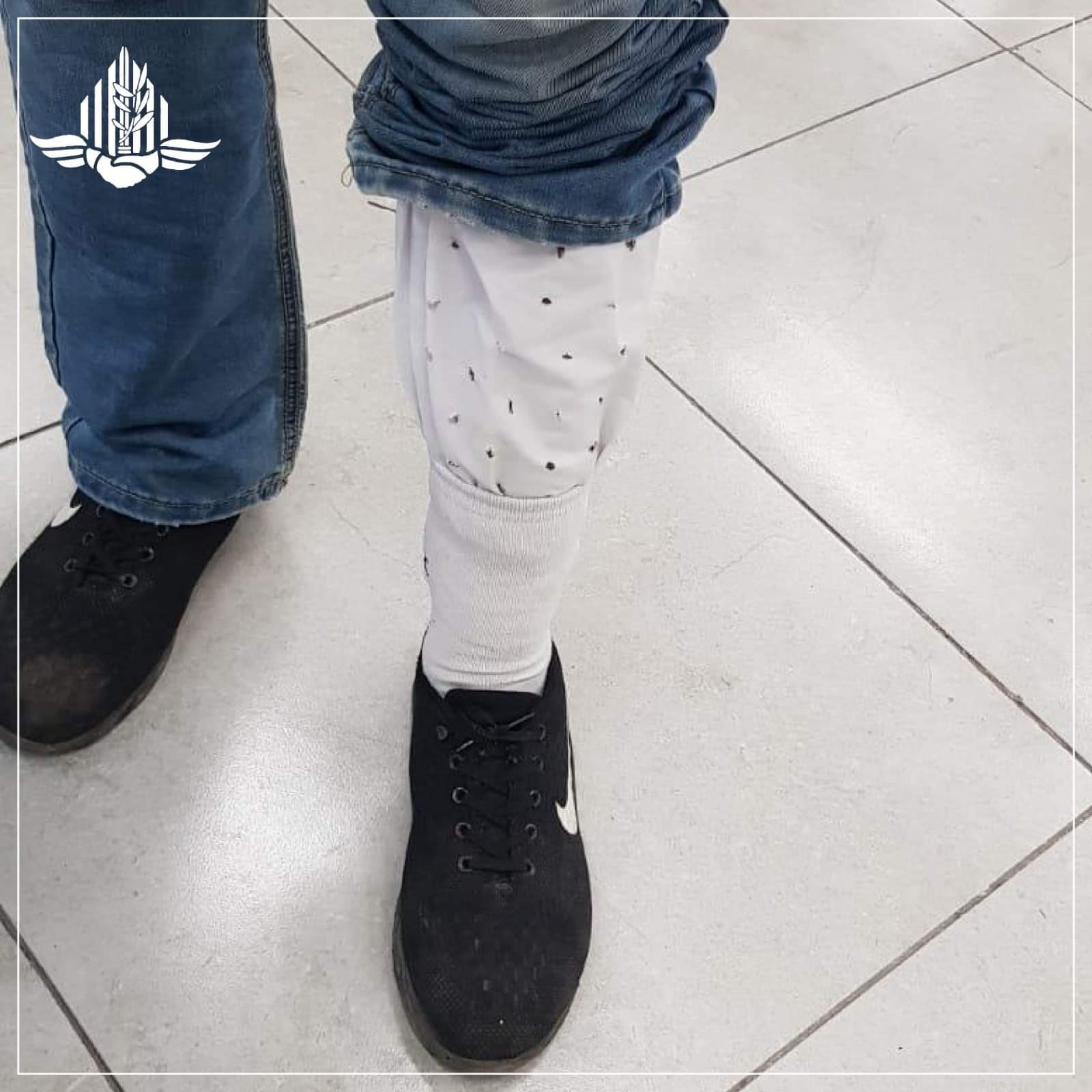 Παλαιστίνιος έκρυψε 14 καρδερίνες στο παντελόνι του - Φωτογραφία 2