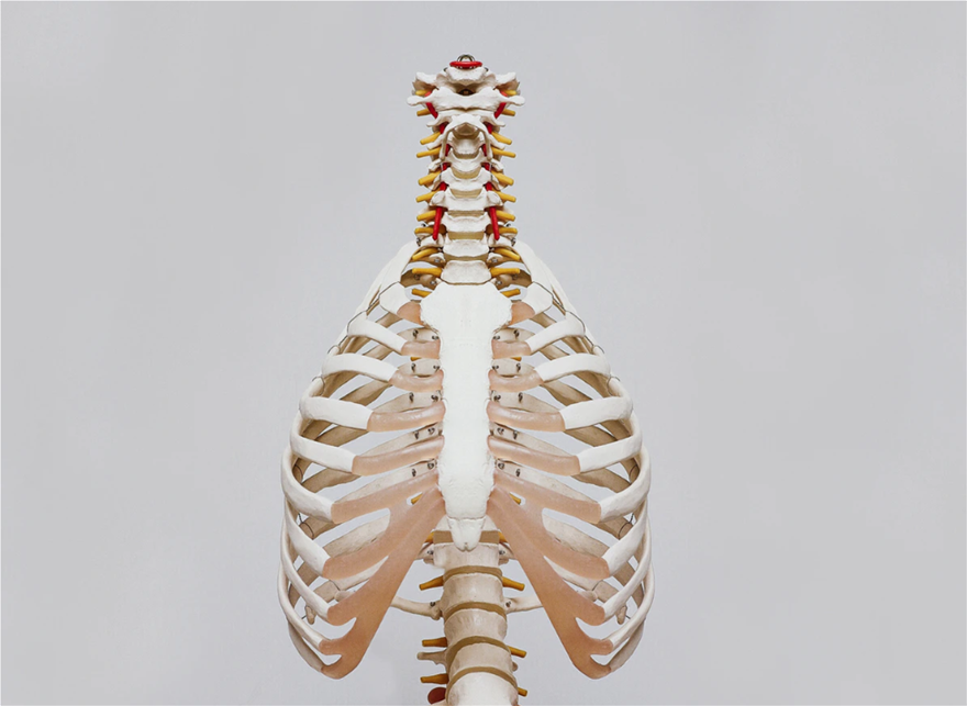 Οστεοπόρωση: «Χτίστε» σωστά τον σκελετό σας - Ήξερες, άραγε, ότι ο φόβος... - Φωτογραφία 1