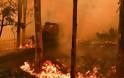 Ανησυχία για τις πυρκαγιές που προσεγγίζουν το Σίδνεϊ