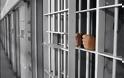 Στη φυλακή φυγόποινος για κλοπές στη Ρόδο