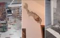 Σεισμός στην Ιταλία: 4,5 Ρίχτερ πολύ κοντά στη Φλωρεντία - Φωτογραφία 1