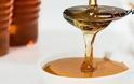 Σημαντικές οι προοπτικές για το μέλι και την βιομηχανική και φαρμακευτική κάνναβη