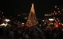Χριστούγεννα 2019: Φωταγωγήθηκε το δένδρο στην πλατεία Συντάγματος - Φωτογραφία 12