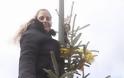 Μαθητές στόλισαν το Χριστουγεννιάτικο δέντρο στο ΑΡΧΟΝΤΟΧΩΡΙ - [ΦΩΤΟ] - Φωτογραφία 3