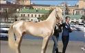 Αυτό το άλογο μοιάζει να το έχουν βυθίσει σε χρυσάφι και είναι γνωστό ως «το ωραιότερο άλογο στον κόσμο» - Φωτογραφία 1