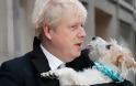 Το φιλί του Μπόρις Τζόνσον στον σκύλο του, η απαγόρευση των selfie και τα σενάρια για το Brexit - Φωτογραφία 2