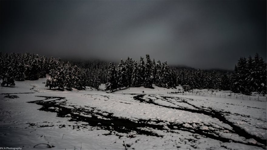 Μαγικές νυχτερινές εικόνες από το χιονισμένο Περτούλι - Φωτογραφία 4