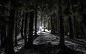 Μαγικές νυχτερινές εικόνες από το χιονισμένο Περτούλι - Φωτογραφία 7