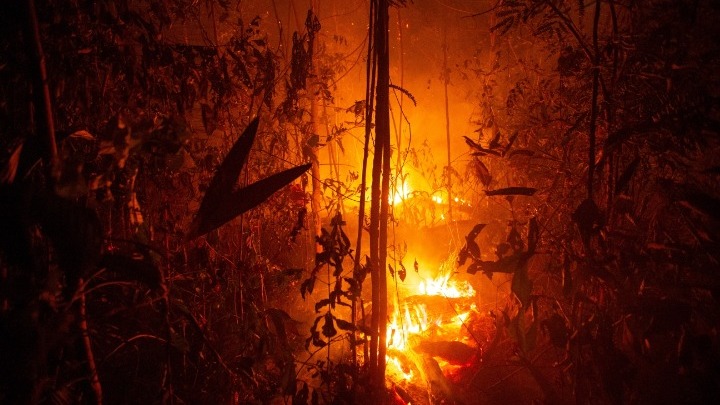 Η καταστροφή  των δασών του Αμαζονίου μόνο τον Νοέμβριο ήταν 563 τ. χιλιόμετρα - Φωτογραφία 1