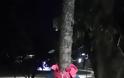Μπουφάν κρεμασμένα στα δέντρα της Έδεσσας για να μη μείνει «κανείς μόνος στο κρύο» - Φωτογραφία 3