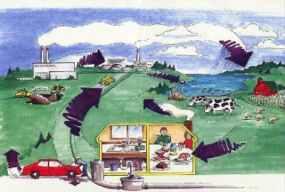 Διοξίνες, εξαιρετικά καρκινογόνες ουσίες που βρίσκονται στο πιάτο μας - Φωτογραφία 5