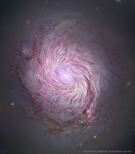 The Magnetic Fields of Spiral Galaxy M77 - Φωτογραφία 1