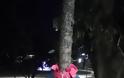Έδεσσα: Στολίζουν δέντρα με μπουφάν για να μην είναι κανείς μόνος στο κρύο - Φωτογραφία 3