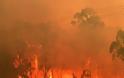Αυστραλία: Χιλιάδες εκτάρια καμμένα, νεκροί πυροσβέστες και ο πρωθυπουργός έκανε διακοπές