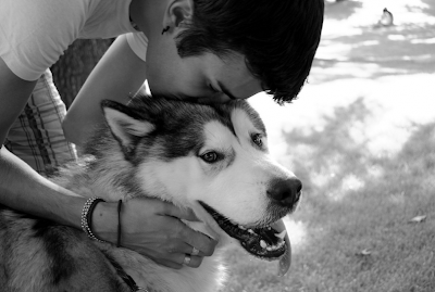 Να αγαπάς σαν σκύλος – H μόνη επικίνδυνη ράτσα είναι η ανθρώπινη σκύλος - Φωτογραφία 1