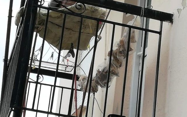 Αλλοδαποί στα Γιάννινα σκοτώνουν σκυλιά και τα τρώνε… - Φωτογραφία 1