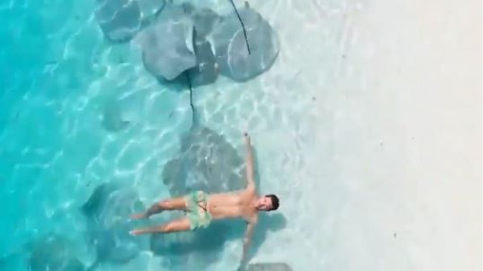 Θαρραλέος τουρίστας κολυμπάει ανάμεσα σε κοπάδι - Φωτογραφία 1