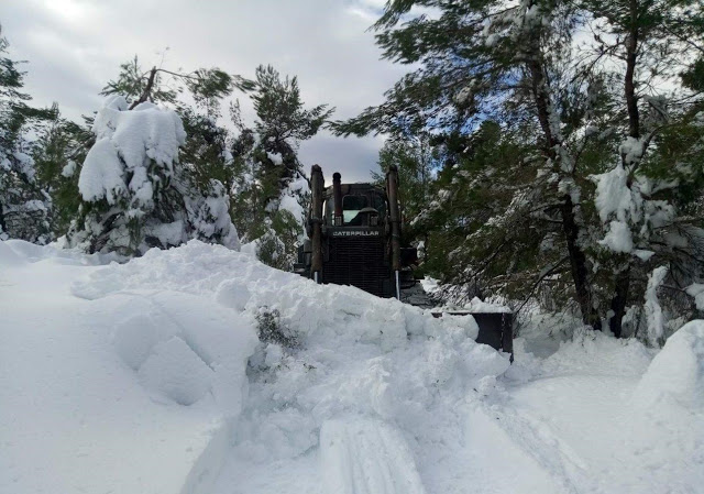 Συμβολή Προσωπικού και Μέσων του Στρατού Ξηράς στην Αντιμετώπιση των Επιπτώσεων της Πρόσφατης Χιονόπτωσης - Φωτογραφία 5