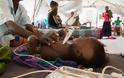 6000 νεκροί από τη χειρότερη επιδημία ιλαράς στον κόσμο στο Κονγκό.