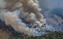 Αύξηση 30% των πυρκαγιών στο δάσος του Αμαζονίου το 2019