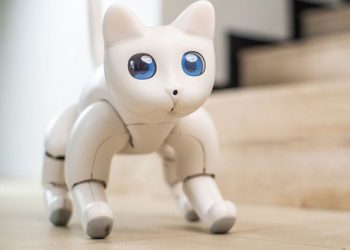 Αυτή είναι η πρώτη γάτα – ρομπότ που συμπεριφέρεται σαν πραγματική γάτα - Φωτογραφία 2