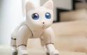 Αυτή είναι η πρώτη γάτα – ρομπότ που συμπεριφέρεται σαν πραγματική γάτα - Φωτογραφία 2