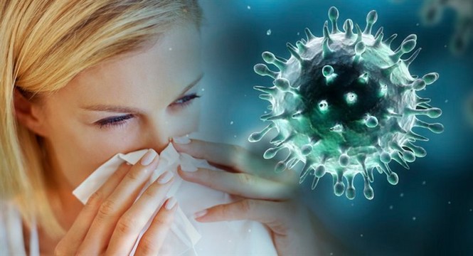 Αναμένεται κορύφωση της γρίπης στις επόμενες εβδομάδες. Ανησυχίες για τους τρεις υπότυπους - Φωτογραφία 1
