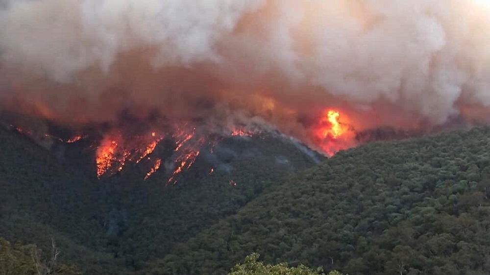Υπό έλεγχο η μεγαλύτερη πυρκαγιά στην Αυστραλία - Φωτογραφία 1