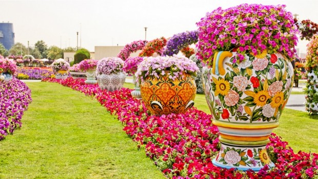 «Miracle Garden» Ο κήπος των θαυμάτων στο Ντουμπάι και δεν υπάρχει παρόμοιος σε όλο τον κόσμο. - Φωτογραφία 16