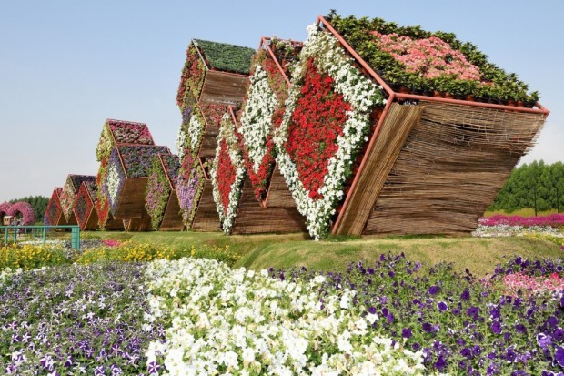 «Miracle Garden» Ο κήπος των θαυμάτων στο Ντουμπάι και δεν υπάρχει παρόμοιος σε όλο τον κόσμο. - Φωτογραφία 20