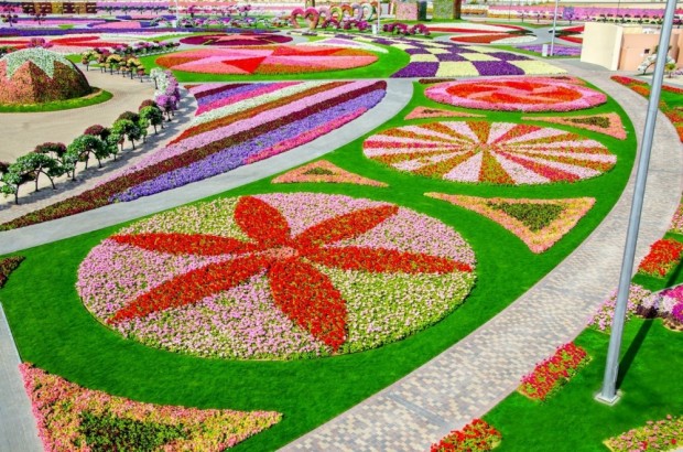 «Miracle Garden» Ο κήπος των θαυμάτων στο Ντουμπάι και δεν υπάρχει παρόμοιος σε όλο τον κόσμο. - Φωτογραφία 23