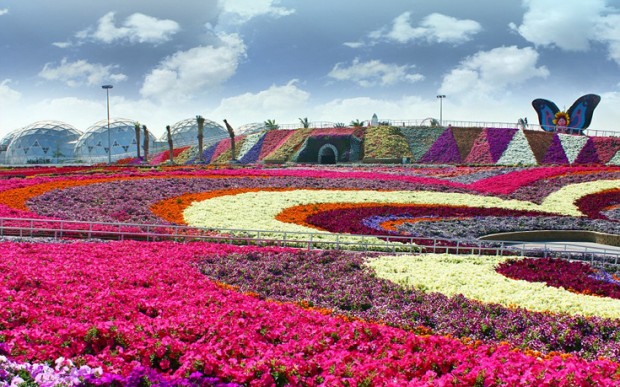 «Miracle Garden» Ο κήπος των θαυμάτων στο Ντουμπάι και δεν υπάρχει παρόμοιος σε όλο τον κόσμο. - Φωτογραφία 6