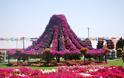 «Miracle Garden» Ο κήπος των θαυμάτων στο Ντουμπάι και δεν υπάρχει παρόμοιος σε όλο τον κόσμο. - Φωτογραφία 25