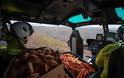 Αυστραλία: Ελικόπτερα πετούν τροφή σε καγκουρό που λιμοκτονούν