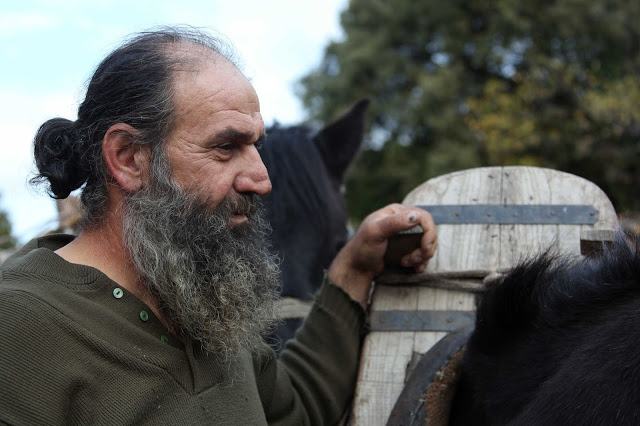 13038 - Φωτογραφικό οδοιπορικό στο Βατοπαιδινό δάσος - Φωτογραφία 9