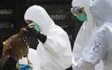Ουγγαρία: Δεύτερο κρούσμα της γρίπης των πτηνών εντοπίστηκε μέσα σε μια εβδομάδα
