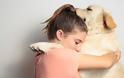 Ζώα συναισθηματικής υποστήριξης: Οι πολύτιμοι σύμμαχοί μας στην αντιμετώπιση του άγχους - Φωτογραφία 1