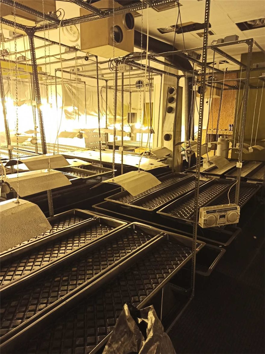«Λουκέτο» σε τρία «εργοστάσια» καλλιέργειας κάνναβης στην Αττική - Φωτογραφία 3