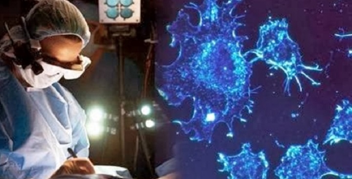 Τυχαία ανακάλυψη ανοσοποιητικού κυττάρου μπορεί να οδηγήσει στη θεραπεία του καρκίνου - Φωτογραφία 1