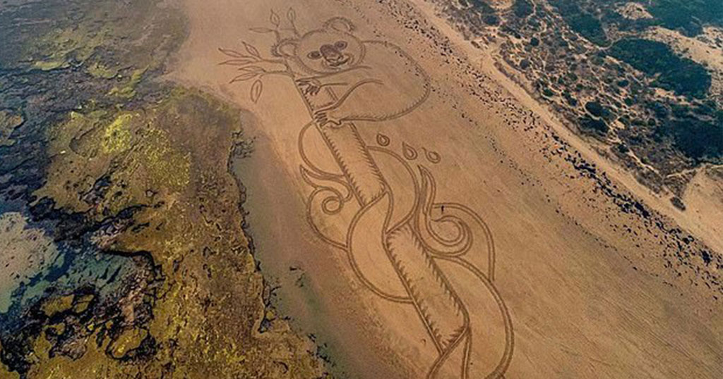 Αυστραλία: Ένα γιγάντιο κοάλα στην άμμο αφιερωμένο σε εκείνα που κάηκαν - Φωτογραφία 1